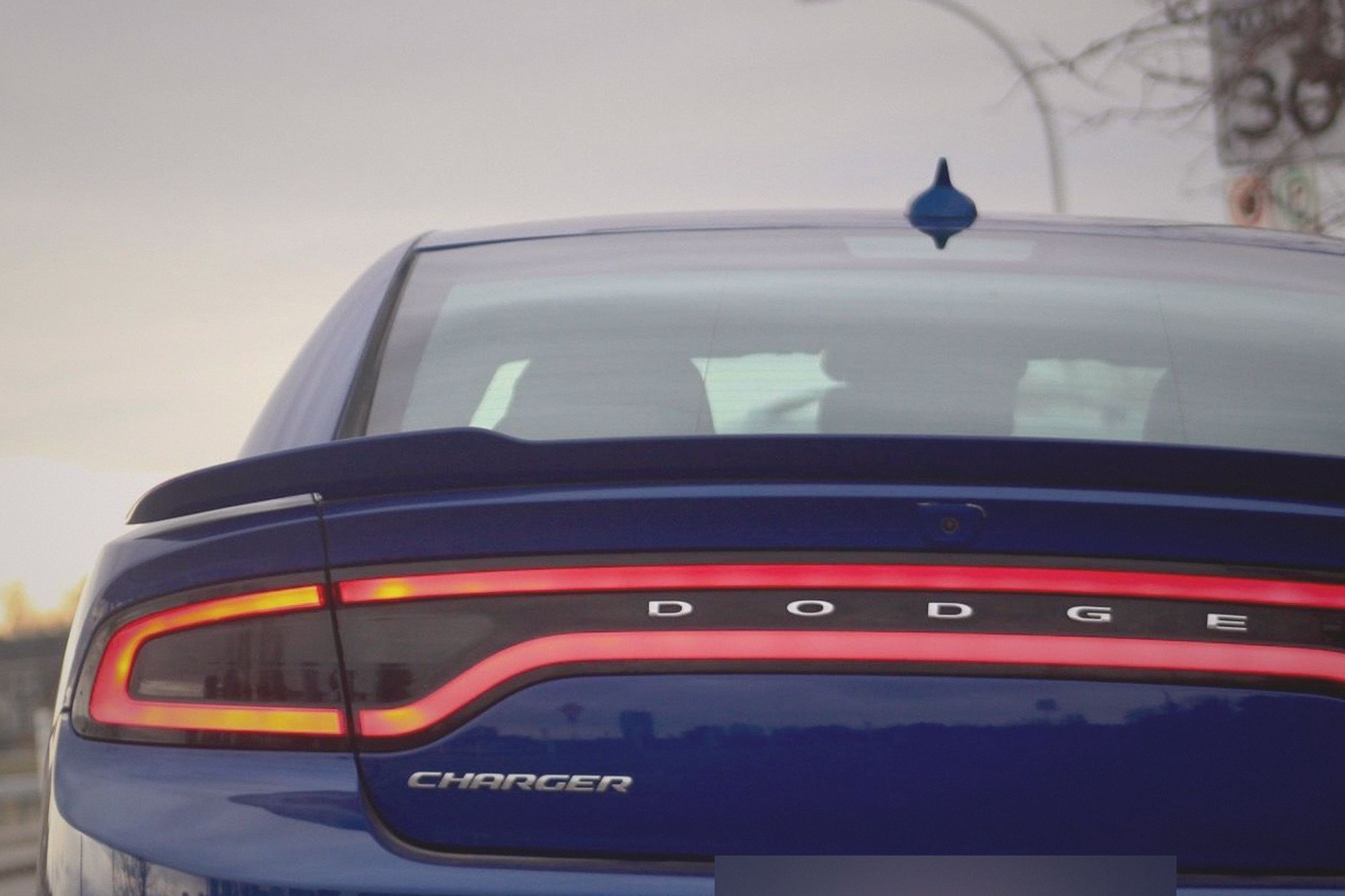 Charger · golden hour